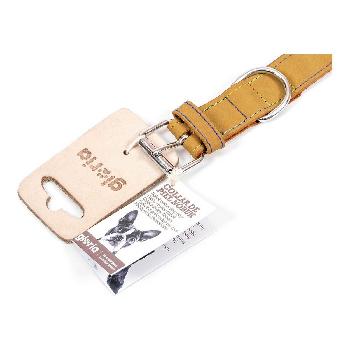 Collar para Perro Gloria Oasis Amarillo (55 x 2,5 cm)